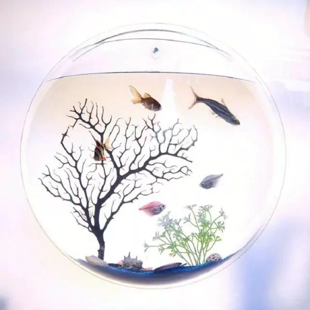 Fish Wall Bowl Beautiful Tank Plexiglass Pet Hanging Aquarium Mount Betta Fish 3
