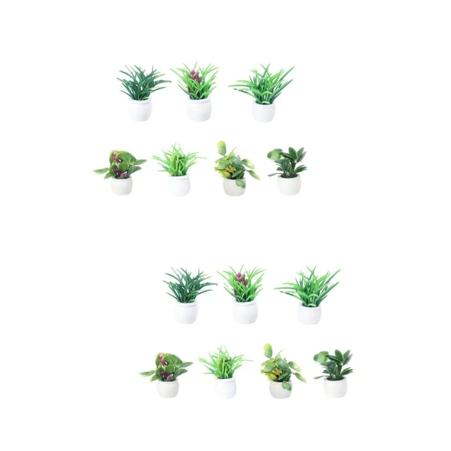 Piante Verdi Da Interno: Decorare Con La Regola Del Tre