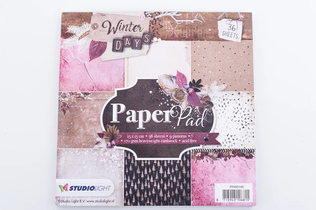 PaperPad StudioLight Hintergrund Scrapbooking Basteln Papier 15x15 cm Winter Day