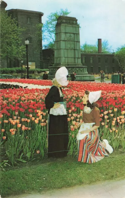 Montreal Quebec Canada, Tulips Time, Dominion Square, Vintage Postcard