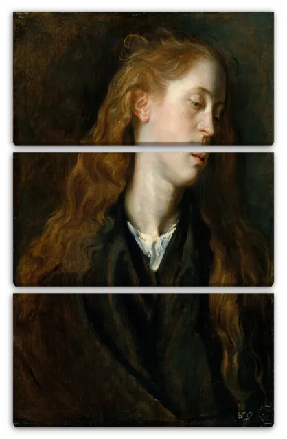 Kunstdruck Anthony van Dyck - Studie Sie den Kopf einer jungen Frau 3