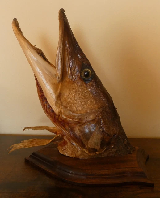 fée rêveuse, ailes métal, figurine, héroïc,légende,fantasy, socle bois