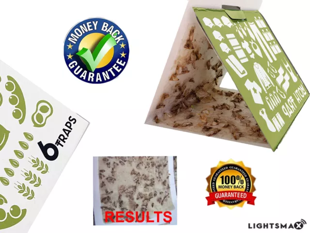 6 PACK STICKY MOTH TRAP ECO FRIENDLY FOR CLOTHES closer storage safe no poison 2
