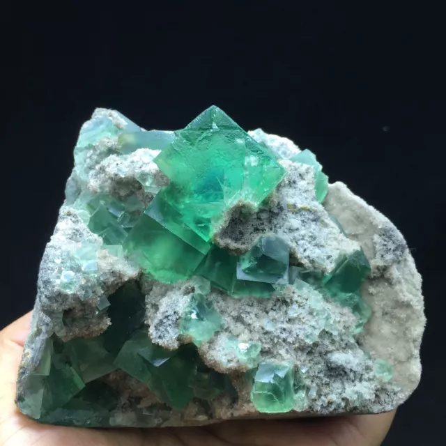 768g Transparent Deep Green Cube Fluorite Crystal Cluster Mineral Specimen