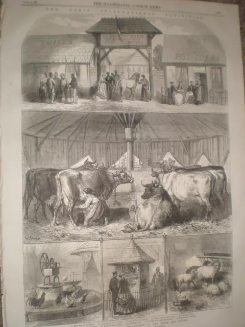 Paris Exhibition model farm in Seine and Marne section 1867 old print ref Y4