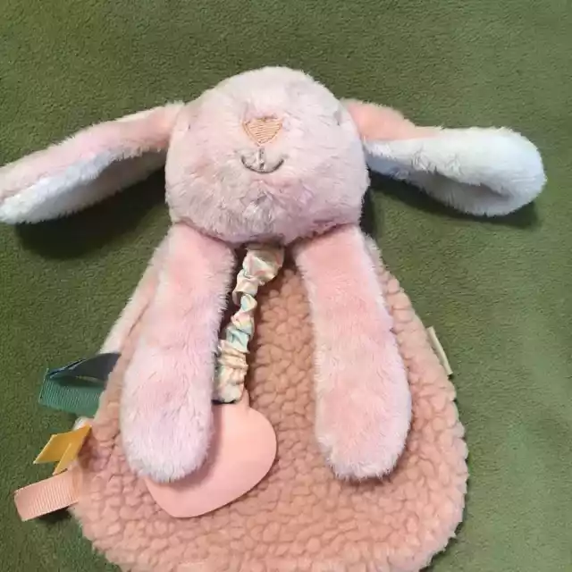 Itzy Ritzy Friends Lovey Plush w/ Silicone Teether Toy Pink Bunny Baby Girl “192