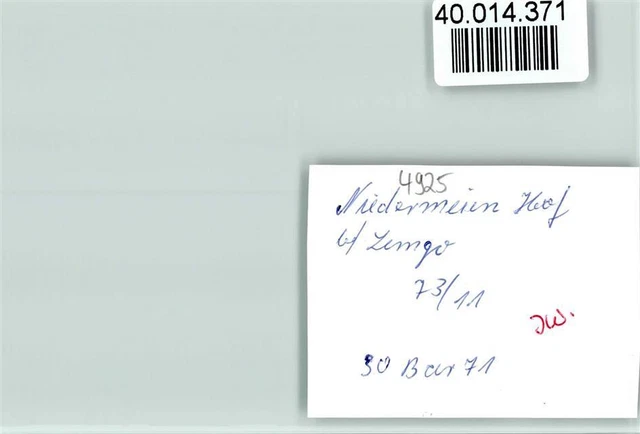 40014371 - 4920 Lemgo Niedermeien court rider horse 2
