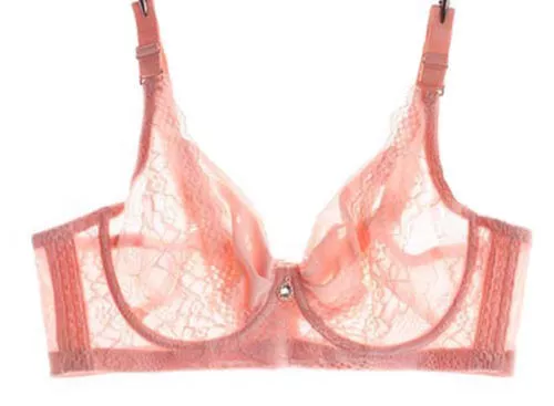 Sexy Lace Bra Women Full Cup Transparent Bralette Underwear Push Up Bra  Untra-thin Breathable Brassiere