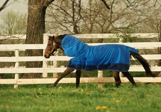 1680D TURNOUT WATERPROOF HORSE BLANKET 002 w NECK COVER - Size from 69" to 83"