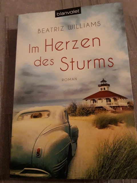 Im Herzen des Sturms von Beatriz Williams (2014, Taschenbuch)