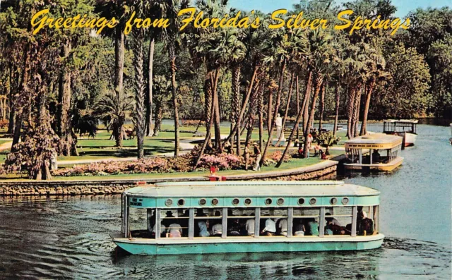 Silver Springs FL Florida Glass Bottom Boat Turquoise Mermaids Vtg Postcard X1