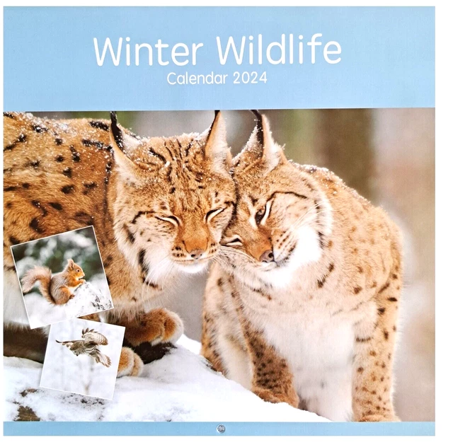 2024 WINTER WILDLIFE Square Wall Calendar Wild Animals Polar Bear Seal