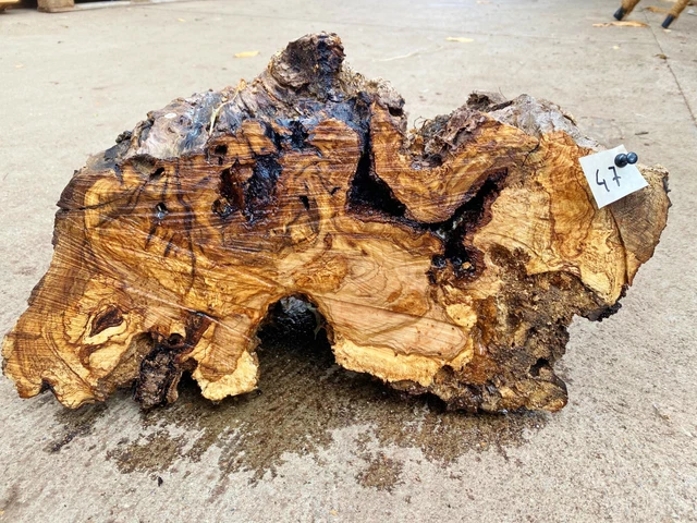 Olivenholz, Olive, Holz zum Basteln, Schnitzen, Drechseln, 6,3 kg Deko-Objekt