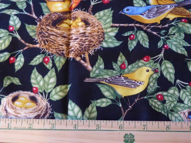 7/8YD Backyard Birds Nests Chickadee Timeless Treasures Quilt Cotton Fabric