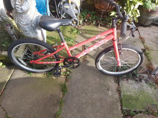 Apollo envy 20 cheap