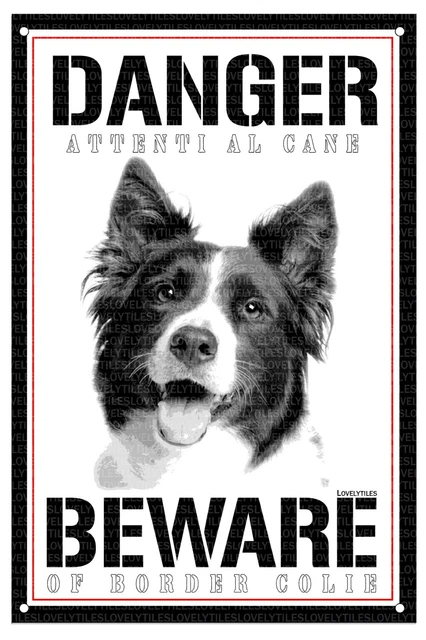 Border Collie Targa Cartello Attenti Al Cane Beware Of Danger Metallo