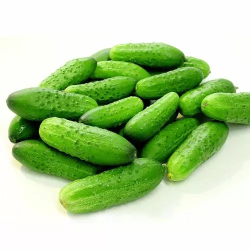 100 Fruit Cucumber Seeds Cucumis Mini Cuke Seed Vegetable Organic