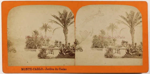 Monaco Monte-Carlo Garden of the casino palm photo stereo albumin vintage c1870