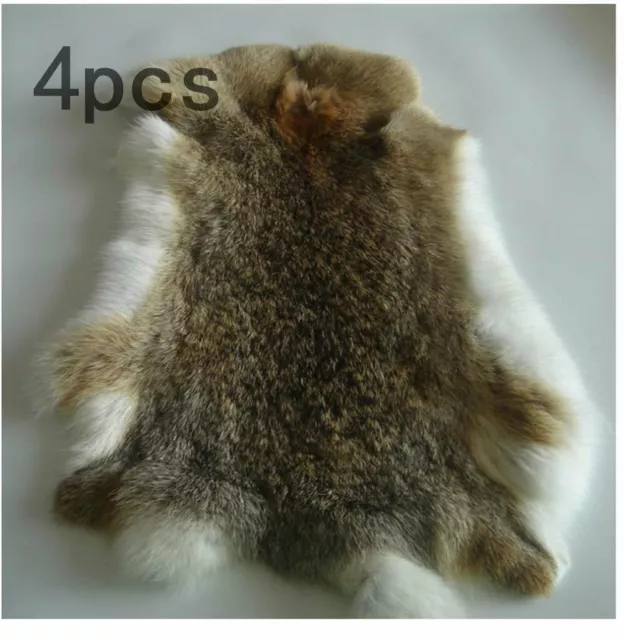 4PCS/set Natural Rabbit Skin Real Fur Pelt for Animal Training Crafts Fly Tying