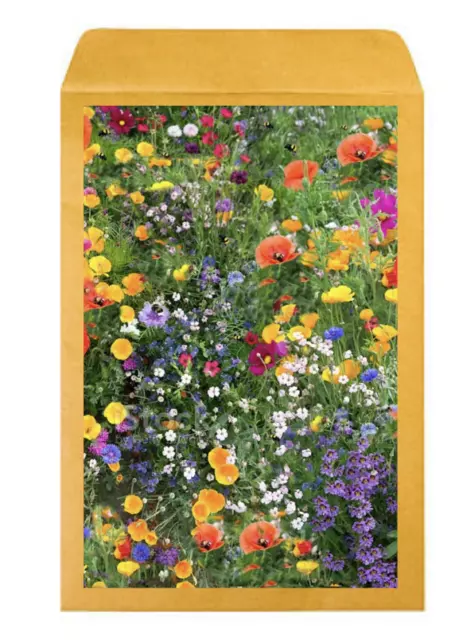 2000 seeds WILD FLOWER SEEDS MEADOW Wild Scented Bee Mixed Meadow NO GRASS UK