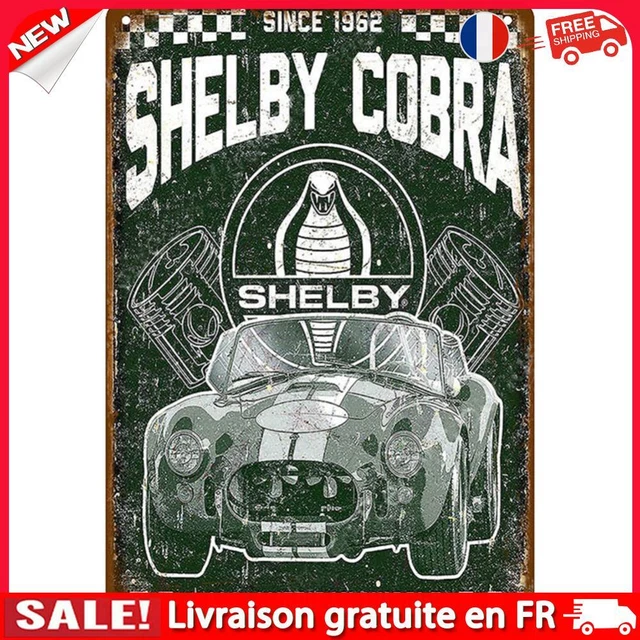 fr Car Sheet Metal Drawing Metal Painting Tin Wall Home Poster Bedroom Art Sign