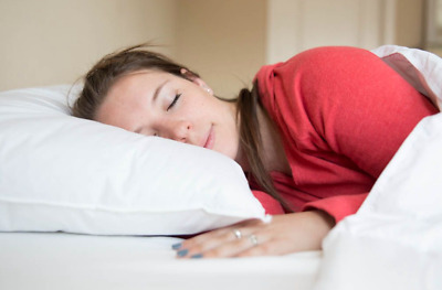 Pillowtex Similar to Holiday Inn Pillows