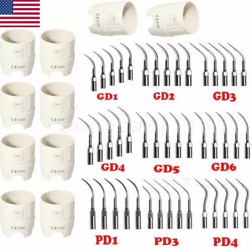 Dental Ultrasonic Piezo Scaler KEY Wrench/ 5*Tips G P fit DTE Satelec tsx