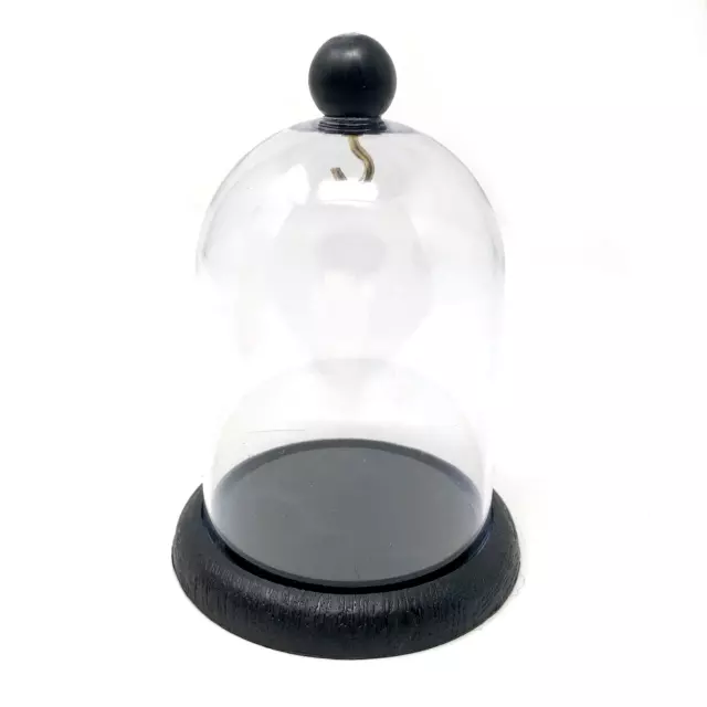 Tasca Orologio Display Cupola Plastica Holding Pendenti Stand Legno Grano Effect