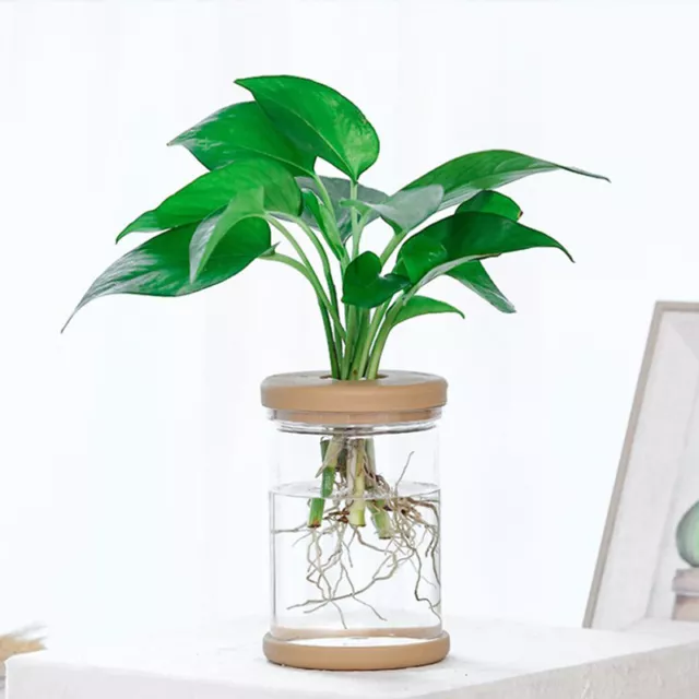 Plastic Plant Pots Water Planting Vase Plastic Transparent Stylish Container