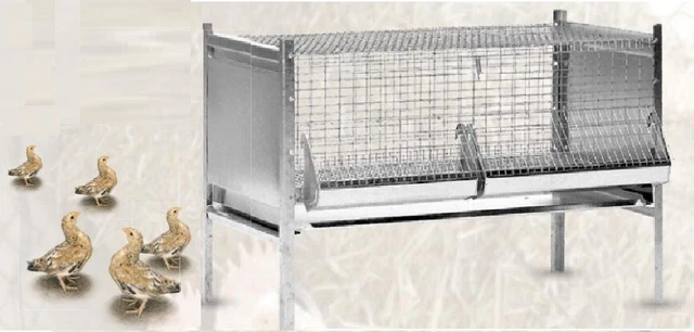 GABBIA Antitopo Zincata PULCINI POLLI Incl. Mangiatoia Abbeveratoio Cm