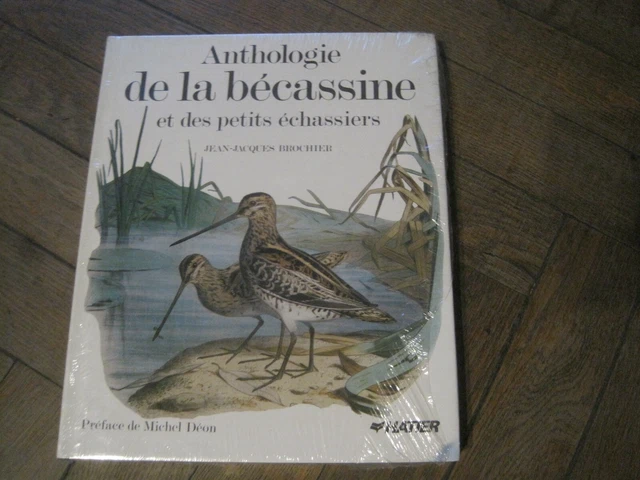 Fermeture de la chasse de la bécasse 2026 et retour des carnets de