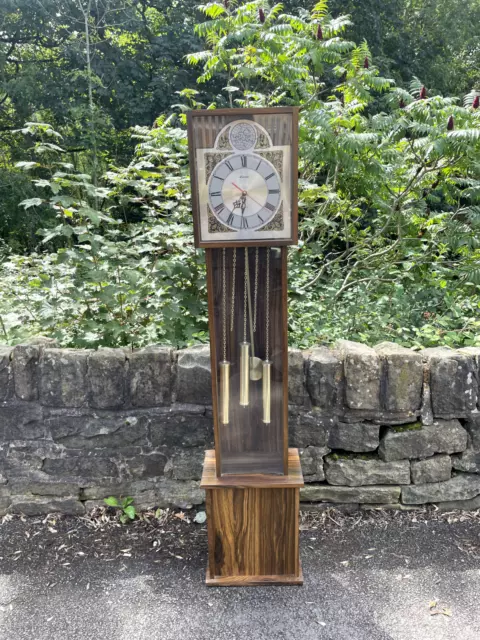 Vintage Tempus Fugit Long Case Freestanding Grandmother Clock Retro