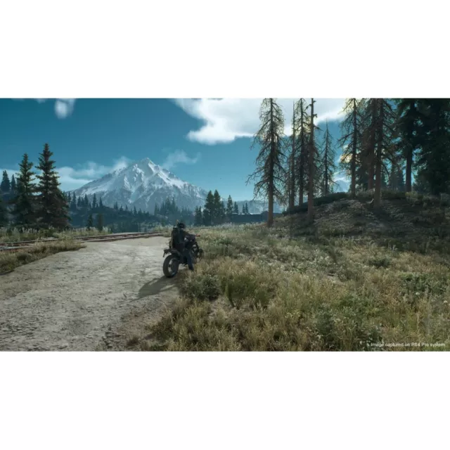 Days Gone Ps4 Juego Físico Para Playstation 4 2