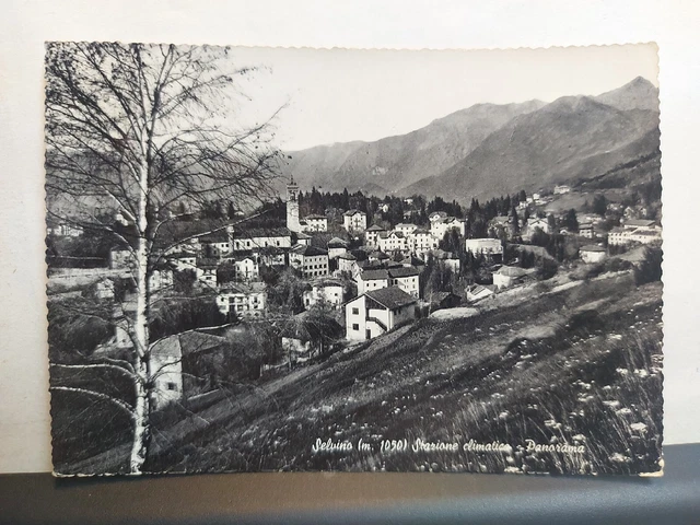 Selvino Stazione Climatica Panorama Fg Lucida Viaggiata 1957 Ottime Condiz. Ga23