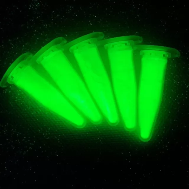 50g GRÜN 140 UV Pigment im dunkeln leuchtet Glühpulver f. Nachtleuchtfarbe Lack