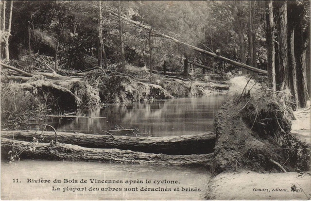 CPA PARIS Bois de Vincennes after the cyclone (999161)