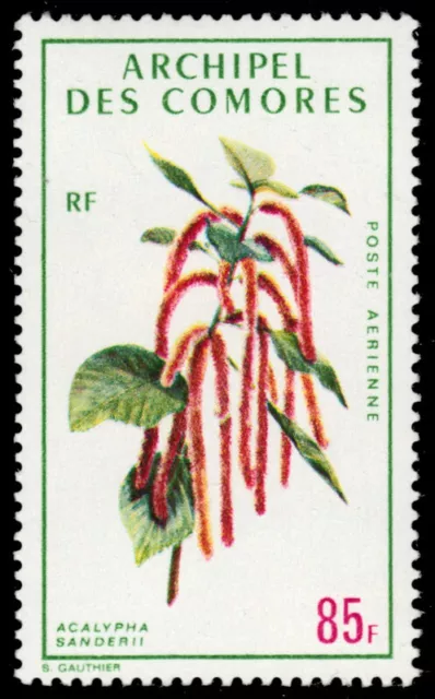 COMORO ISLANDS C38 - Chenille Plant "Acalypha sanderi" (pb85717)