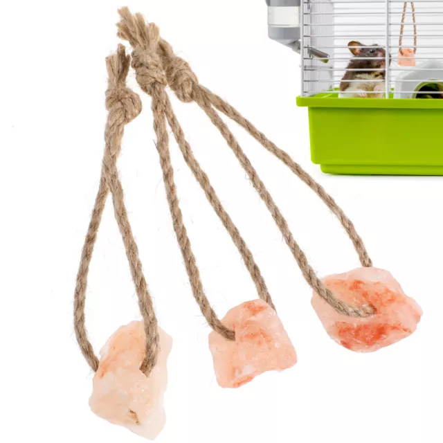 Small Pets Lick Salt Block on Rope Teething Toy 3 Pack VILLCASE Value Deal