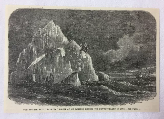 1880 magazine engraving~ 'GALATEA' FIRING SHOTS AT IMMENSE ICEBERG Newfoundland