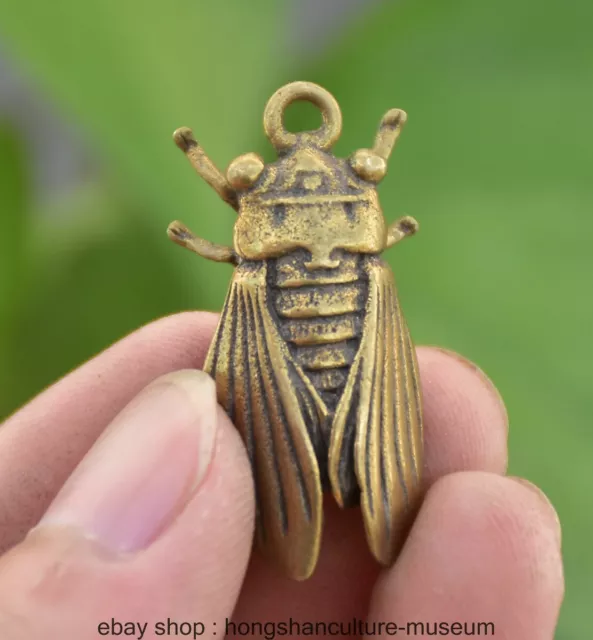 1.2 " Old Chinese Pure Brass insect Cicada Statue Pendant