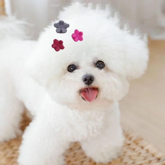 Coloridas garras para el pelo de mascotas horquillas para perro clips para el pelo de gato accesorios para el pelo de niños
