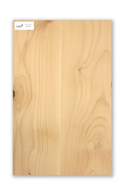 Electric Guitar American Alder 2 Glued Pieces Body Blank #747 -3.3 KG