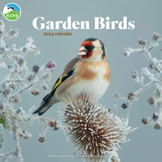 RSPB GARDEN BIRDS (PFP) Wall Calendar 2024 14.12 PicClick