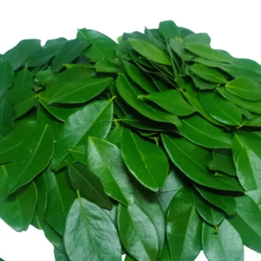 Dried Wild Lemon Leaf Atalantia Ceylanica Leaf 100% Organic natural Herbal Tea 2