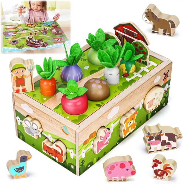 Montessori Wooden Sensory Toddler Toys: Babies 6-12 Months Toy for 1 2 3 Year