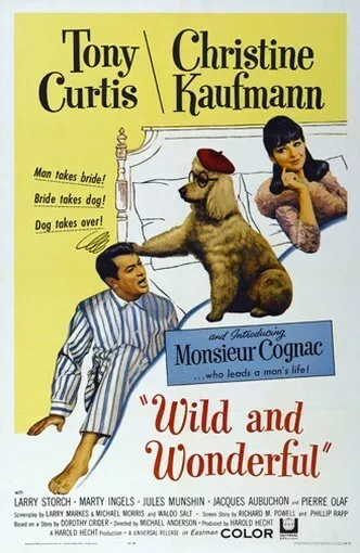 WILD AND WONDERFUL MOVIE POSTER Tony Curtis HOT VINTAGE