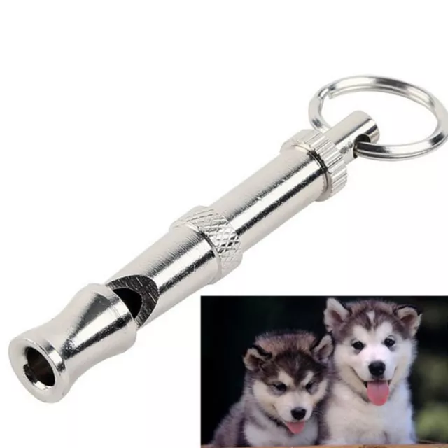 Useful Ultrasonic Sound Pitch Silent Dog Pet Command Training Whistle Silver 3