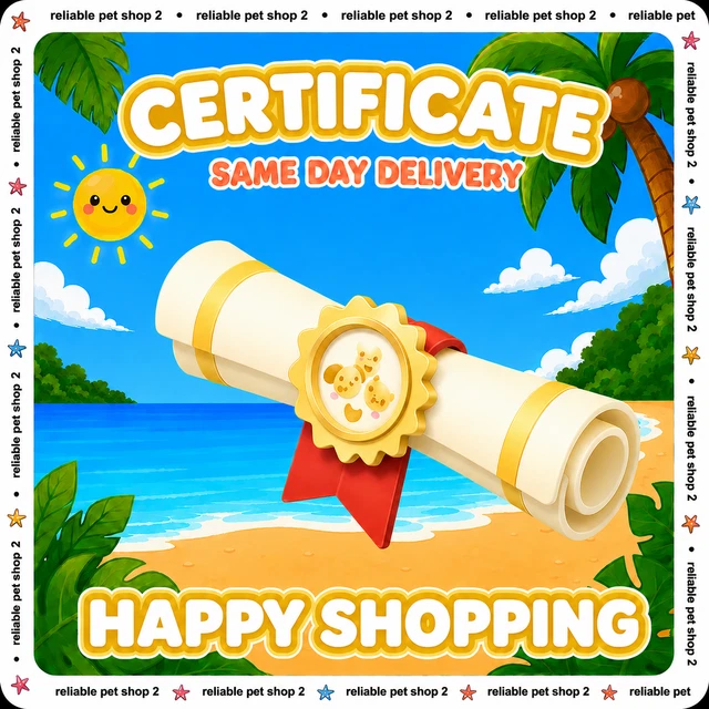 Video Game Merchandise, Video Games & Consoles - PicClick CA