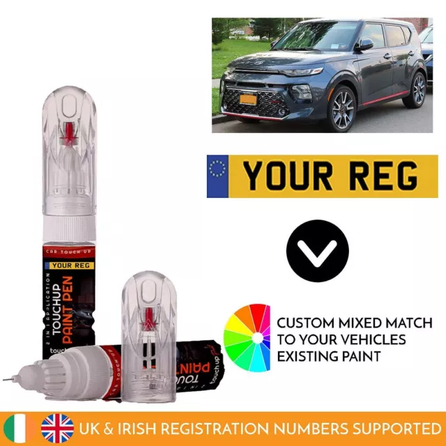 Touch Up Paint Pen For Kia Soul Mixed By Car Registration Reg Numberplate