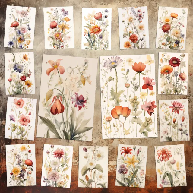 Set Of 16 New Wild Meadow Flowers Botanical Postcards Cards +16 Envelopes + Gift